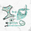 Printed 6-Piece Pet Harness & Leash Set – Adjustable Polyester Harness for Cats & Small Dogs