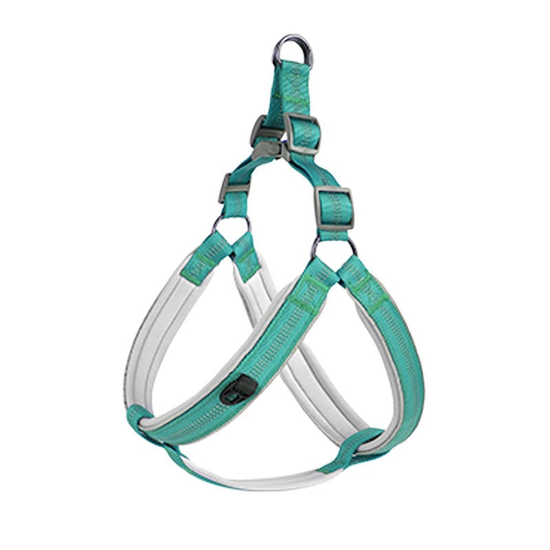 Luxury Padded Dog Harness – Adjustable Vest Harness with Gold Hardware for Small & Medium Dogs