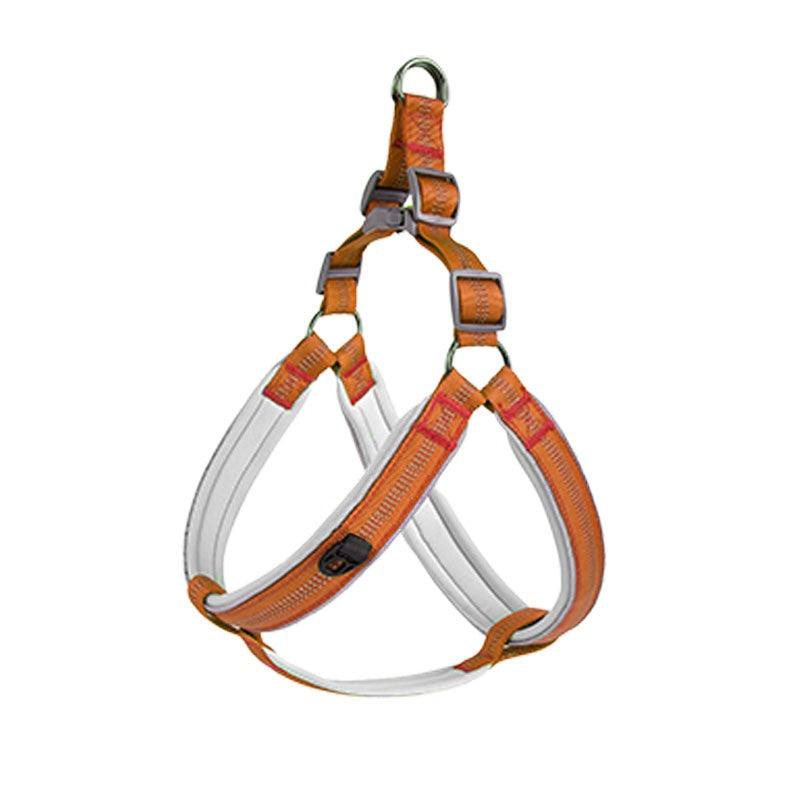Luxury Padded Dog Harness – Adjustable Vest Harness with Gold Hardware for Small & Medium Dogs
