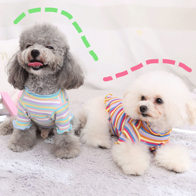 Rainbow Pet T-Shirt – Lightweight Casual Shirt for Small Dogs & Cats