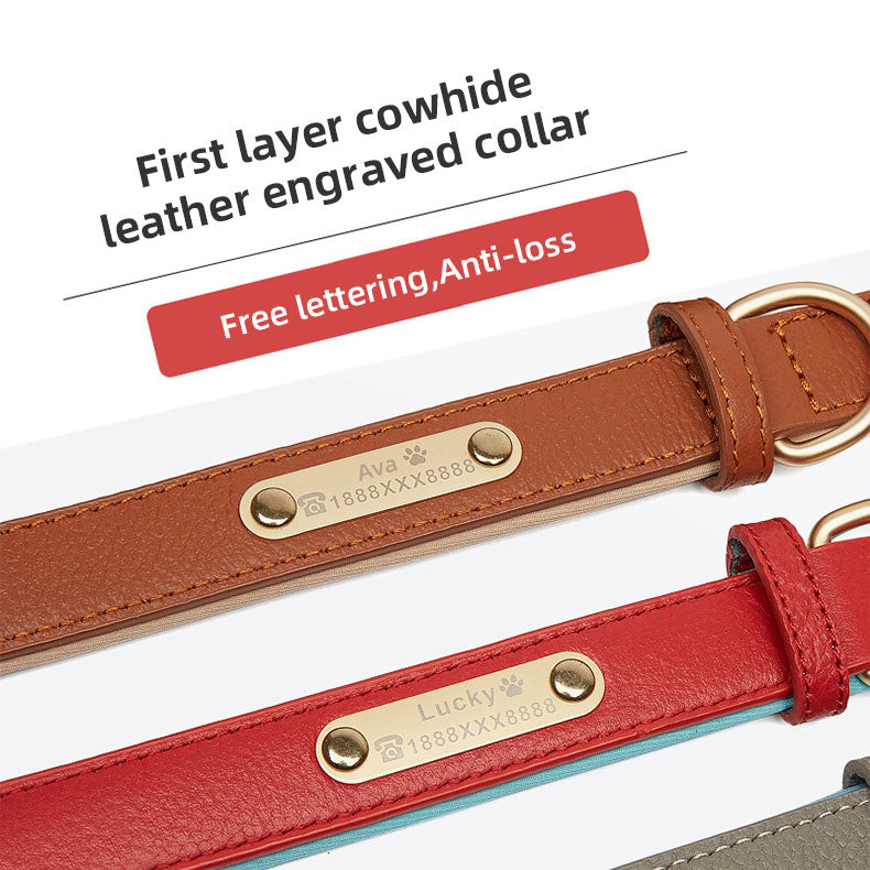 Luxury Leather Dog Collar – Wide Adjustable Wear-Resistant Collar for Dogs