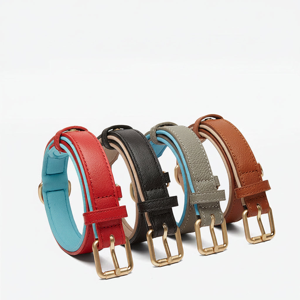 Luxury Leather Dog Collar – Wide Adjustable Wear-Resistant Collar for Dogs