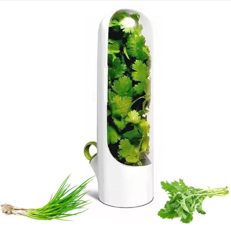 Fresh Herb Keeper & Refrigerator Storage Container | Reusable Produce Saver
