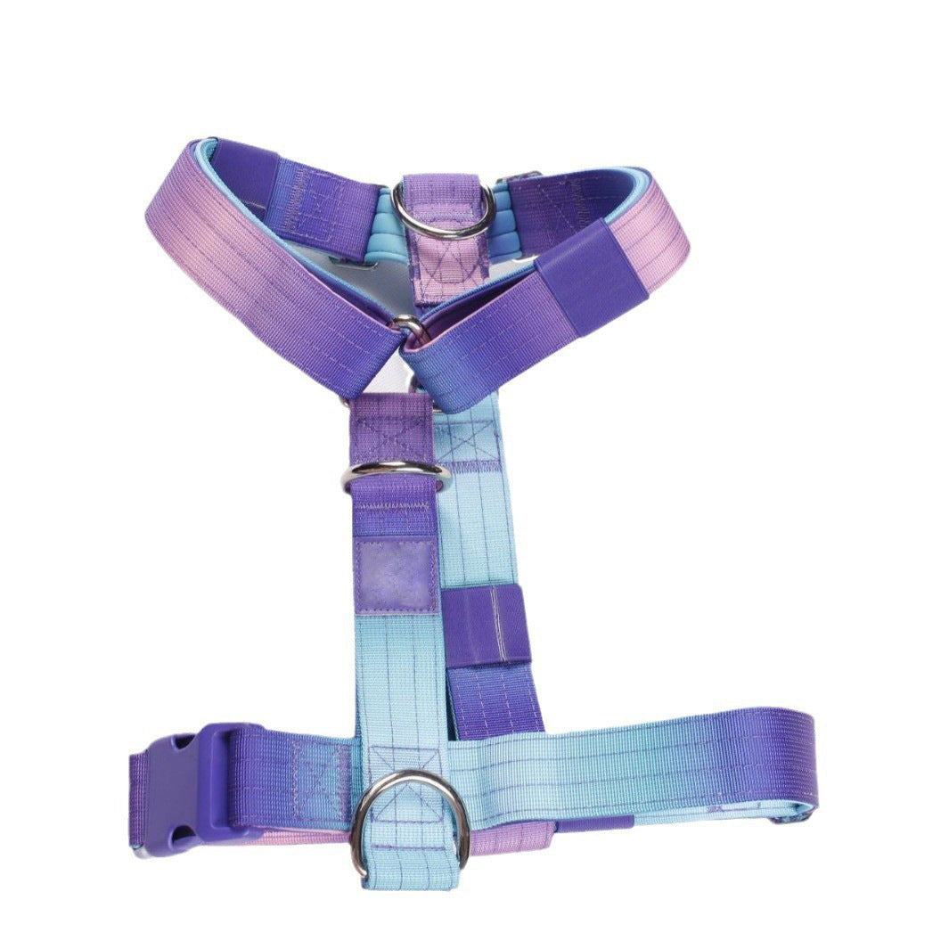 Dog Traction Rope Collar with Large, Medium and Small Gradient suit