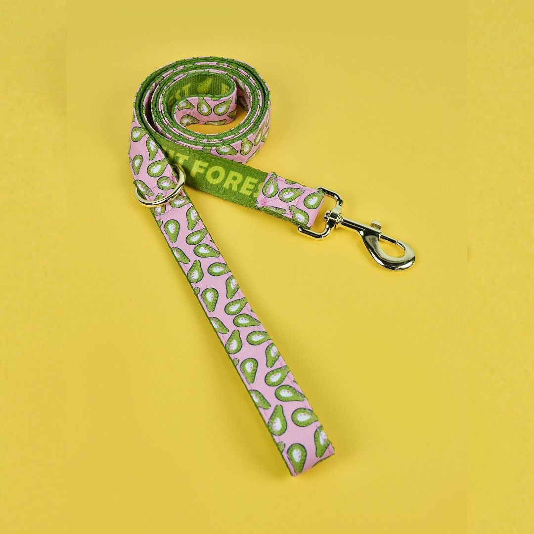 Adjustable Dog Harness with ID Tag