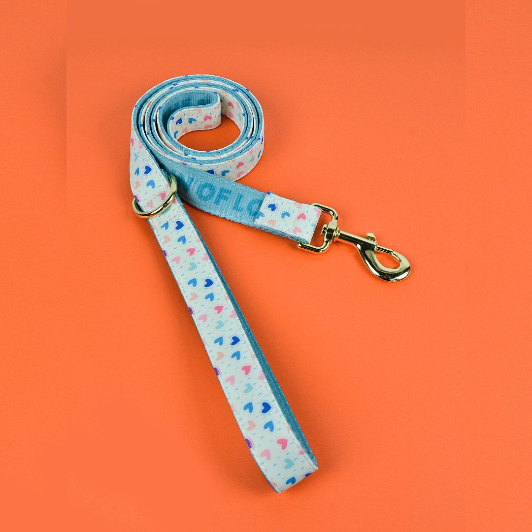 Adjustable Dog Harness with ID Tag