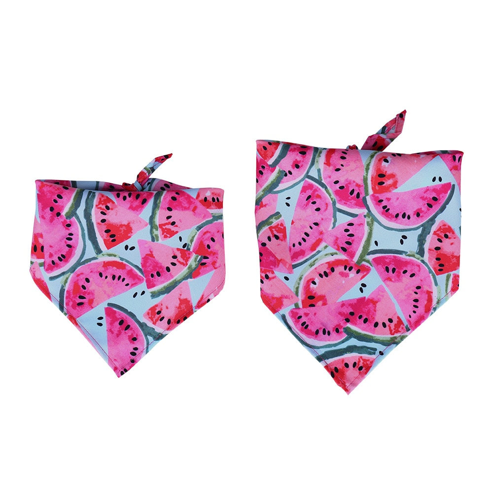Fruit Print Cotton Pet Bandana | Adjustable Dog & Cat Scarf