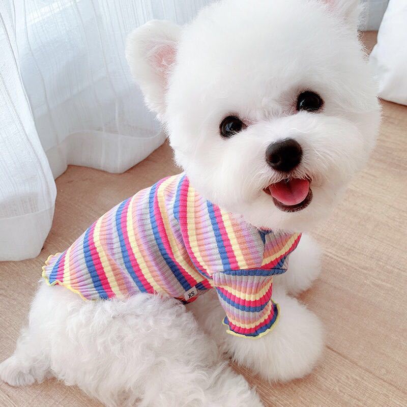 Rainbow Pet T-Shirt – Lightweight Casual Shirt for Small Dogs & Cats