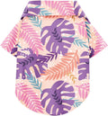 Hawaii Dog Shirt