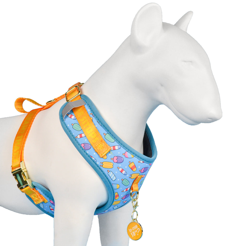 Adjustable Dog Harness with ID Tag