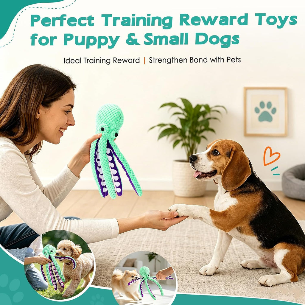 Plush Dog Toys