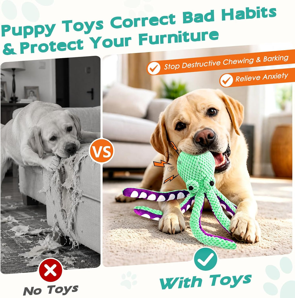Plush Dog Toys