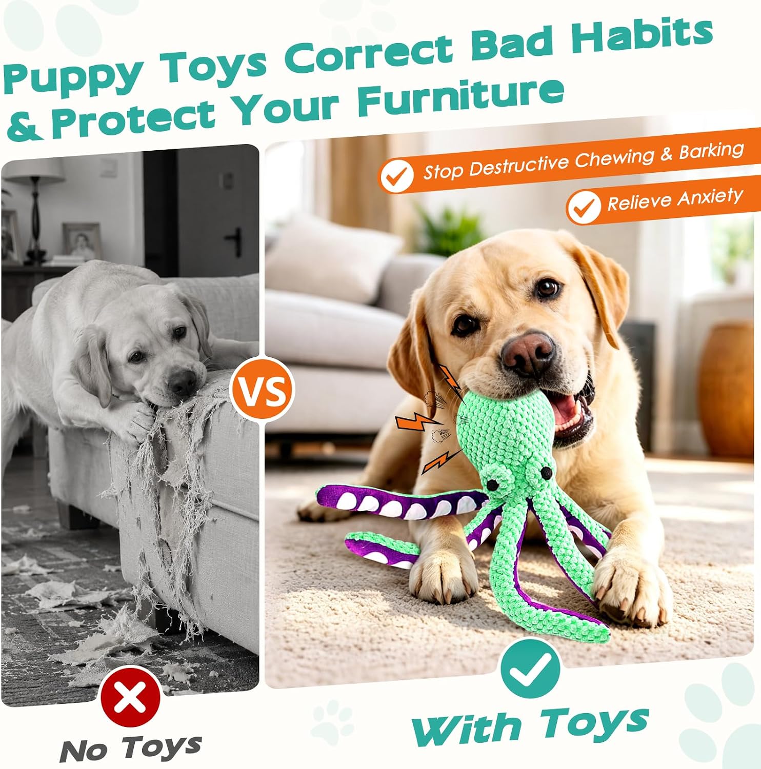 Plush Dog Toys