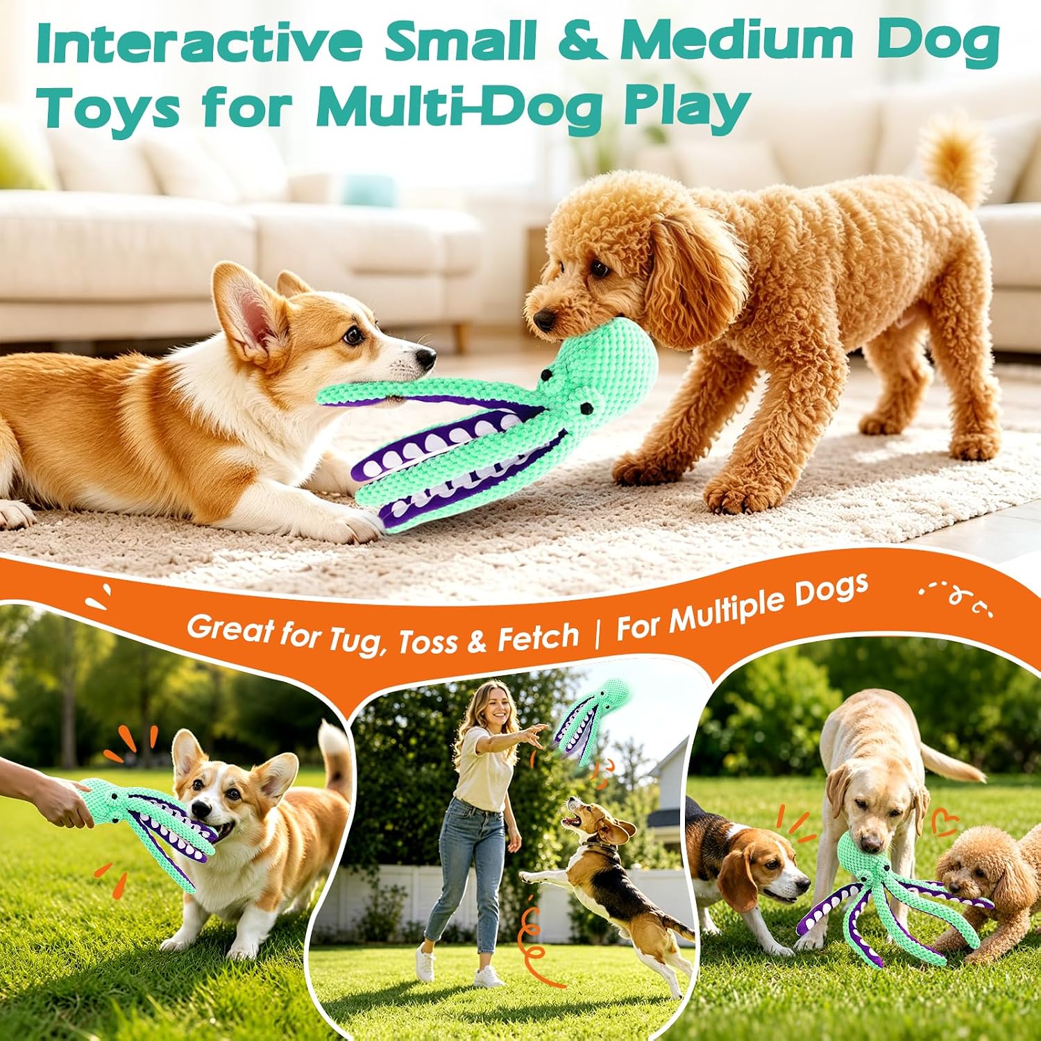Plush Dog Toys
