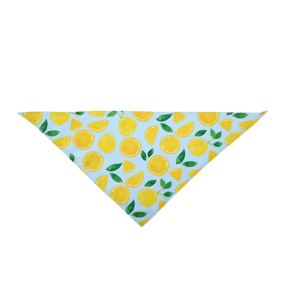 Fruit Print Cotton Pet Bandana | Adjustable Dog & Cat Scarf
