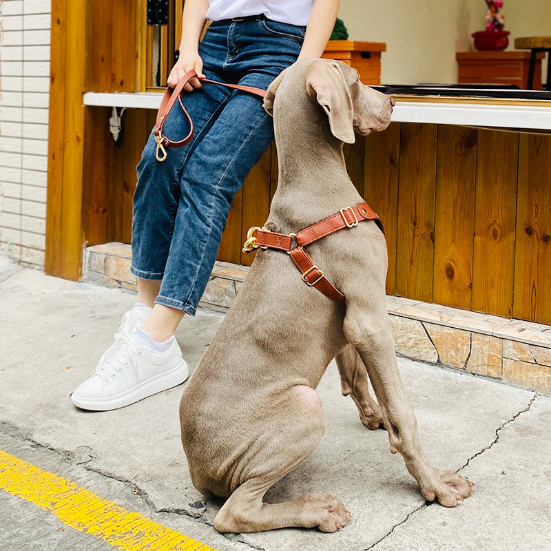 Leather Dog Harness and Leash Set