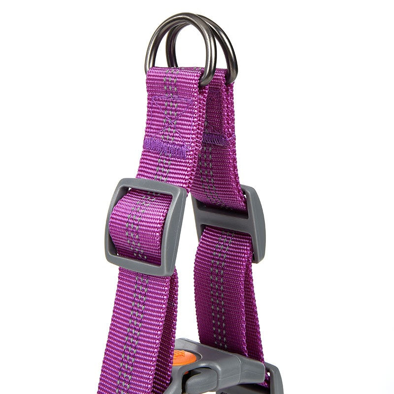 Luxury Padded Dog Harness – Adjustable Vest Harness with Gold Hardware for Small & Medium Dogs