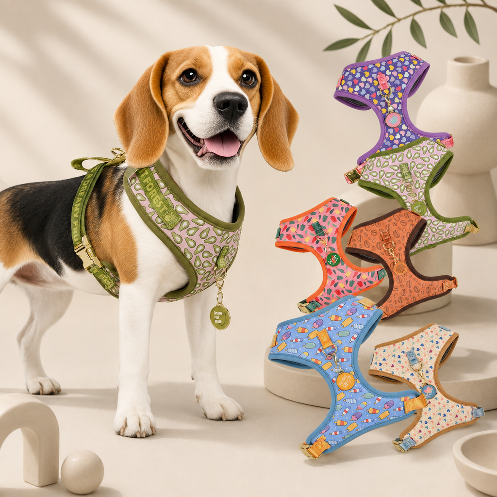 Adjustable Dog Harness with ID Tag