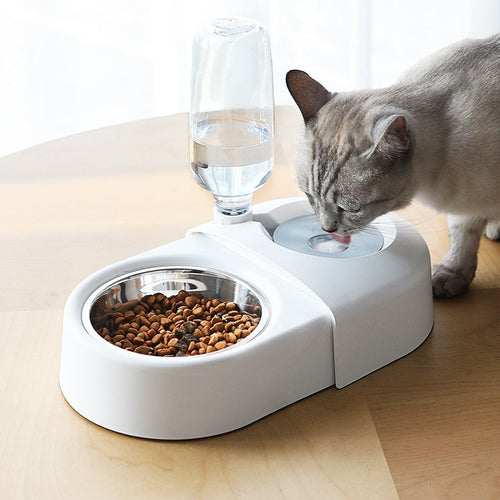 Automatic Pet Water Dispenser & Double Food Bowl for Dogs & Cats