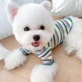 Rainbow Pet T-Shirt – Lightweight Casual Shirt for Small Dogs & Cats