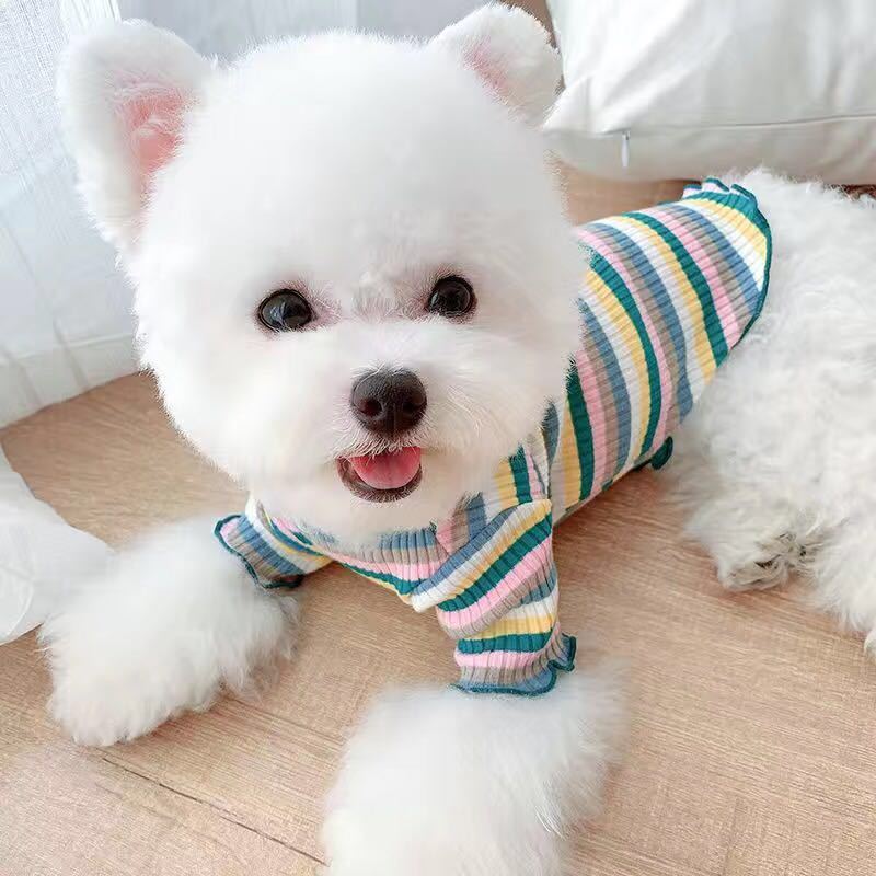 Rainbow Pet T-Shirt – Lightweight Casual Shirt for Small Dogs & Cats