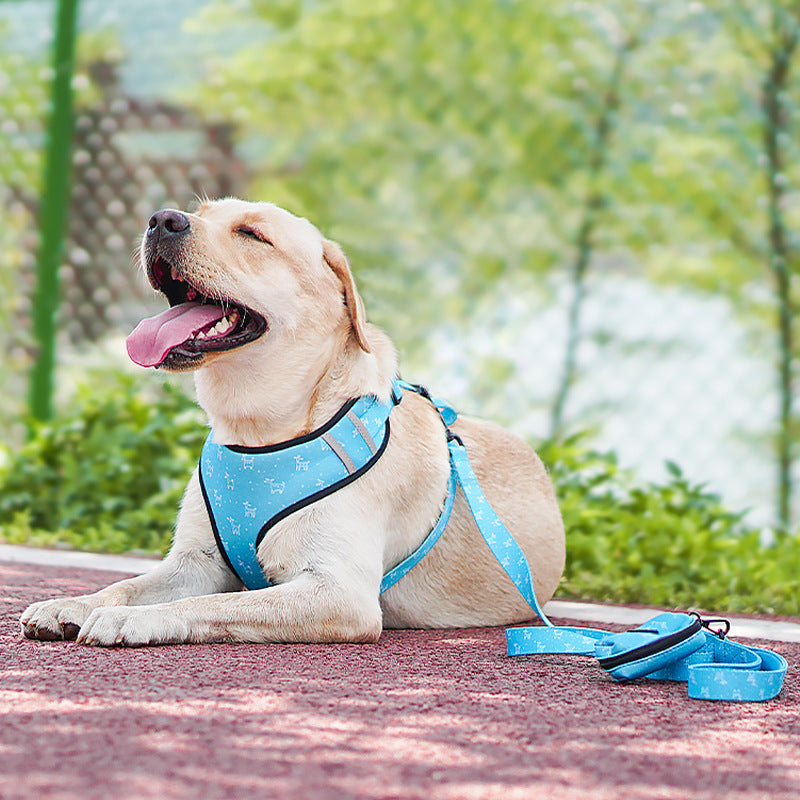 Printed 6-Piece Pet Harness & Leash Set – Adjustable Polyester Harness for Cats & Small Dogs