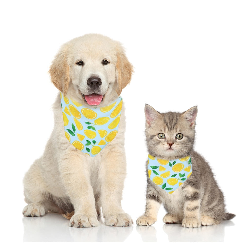 Fruit Print Cotton Pet Bandana | Adjustable Dog & Cat Scarf