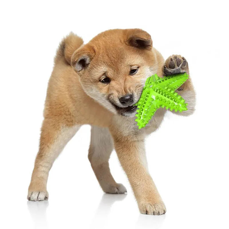 Starfish Dog Chew Toy | Durable Dental Teething Toy