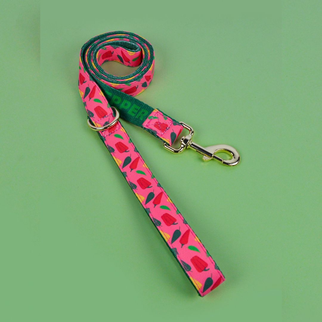 Adjustable Dog Harness with ID Tag