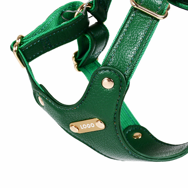 Leather Dog Harness and Leash Set
